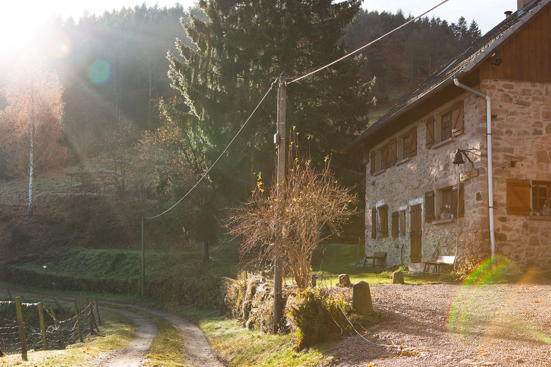 Le Gîte du Pré au Miel