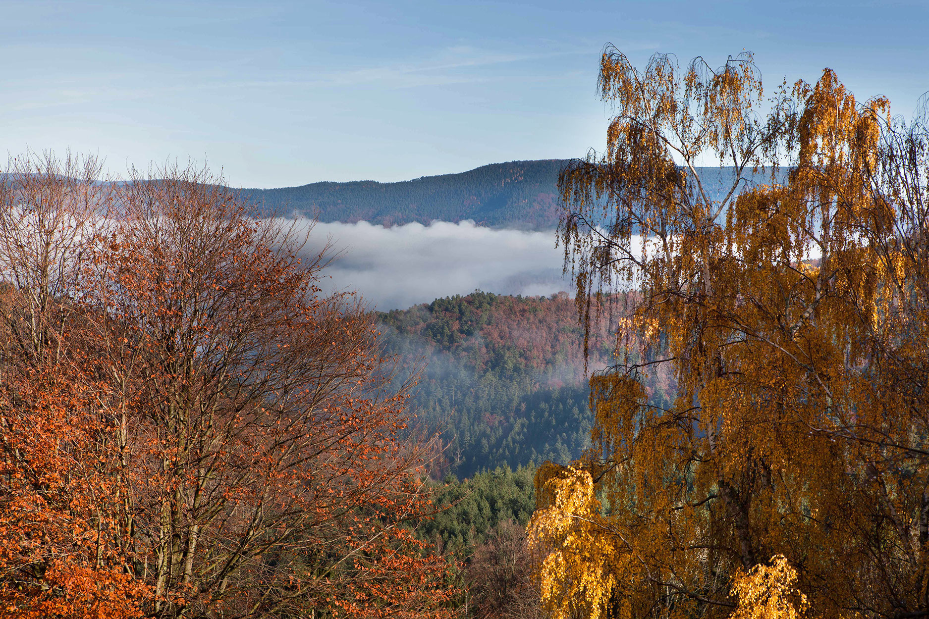 Vue automnale sur le massif du Taennchel depuis le Gîte du Pré au Miel
